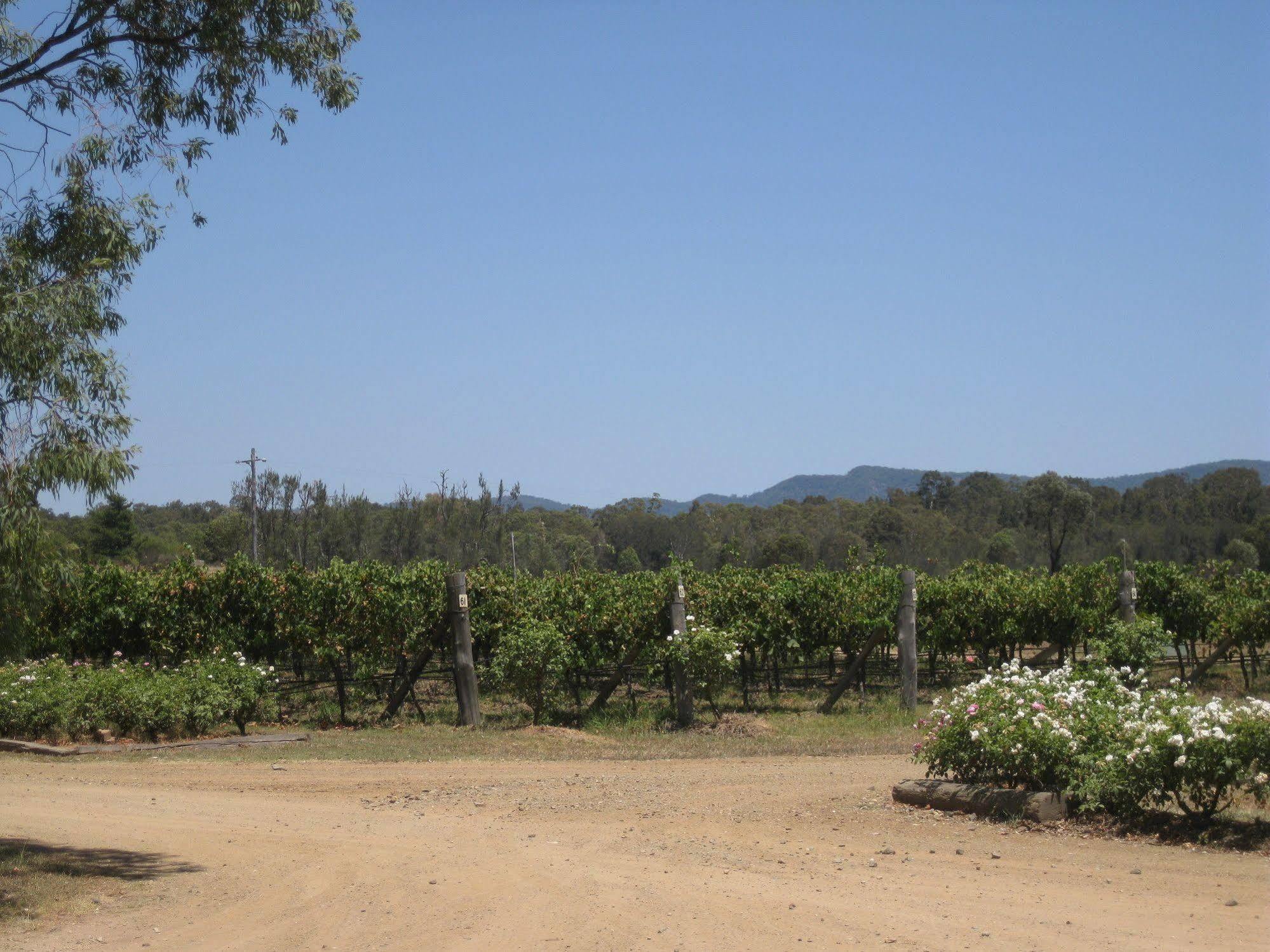 לאבדייל Emma'S Cottage Vineyard מראה חיצוני תמונה