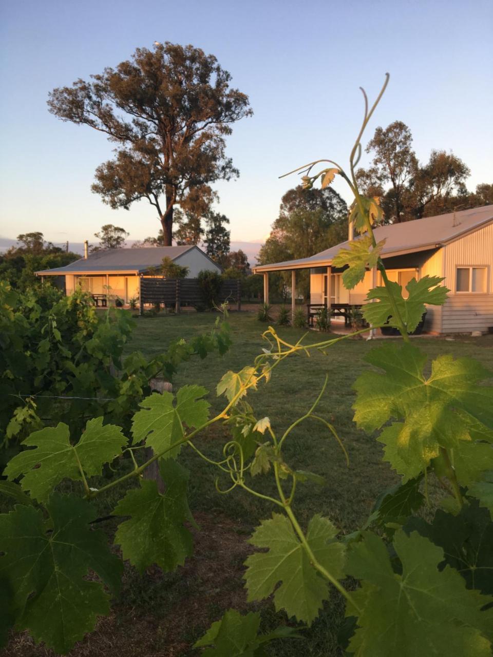 לאבדייל Emma'S Cottage Vineyard מראה חיצוני תמונה